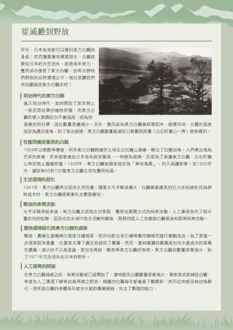 白鸛08