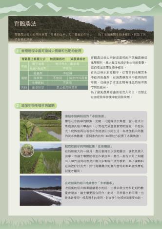 白鸛17