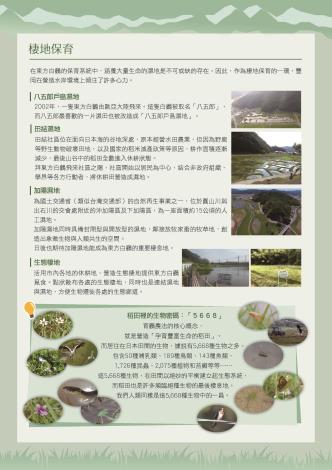 白鸛10