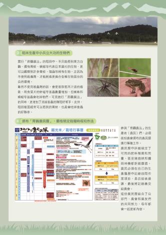 白鸛18