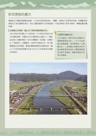 白鸛13