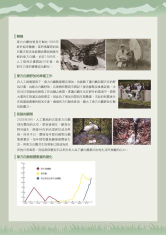 白鸛09