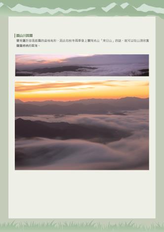 白鸛04
