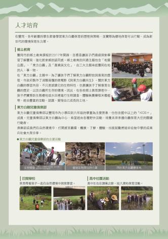 白鸛11