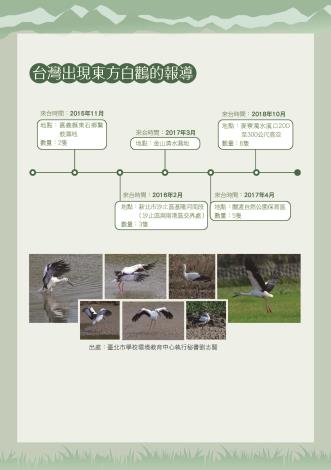 白鸛23