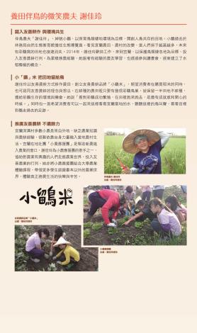 彩鷸-02